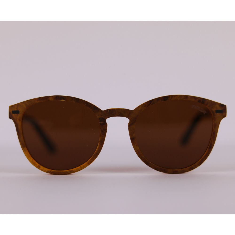 Vista frontal de la montura de las gafas de sol Gosling Carey de Insolent
