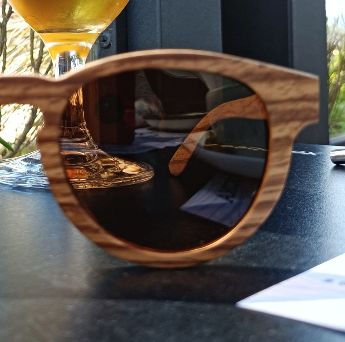 Vista de la Transparencia de la lente de las Gafas de Sol Elliot Wolf