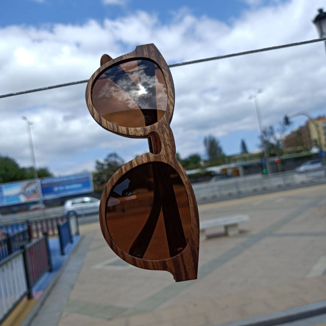 Detalle frontal Gafas de Sol Elliot Wolf 